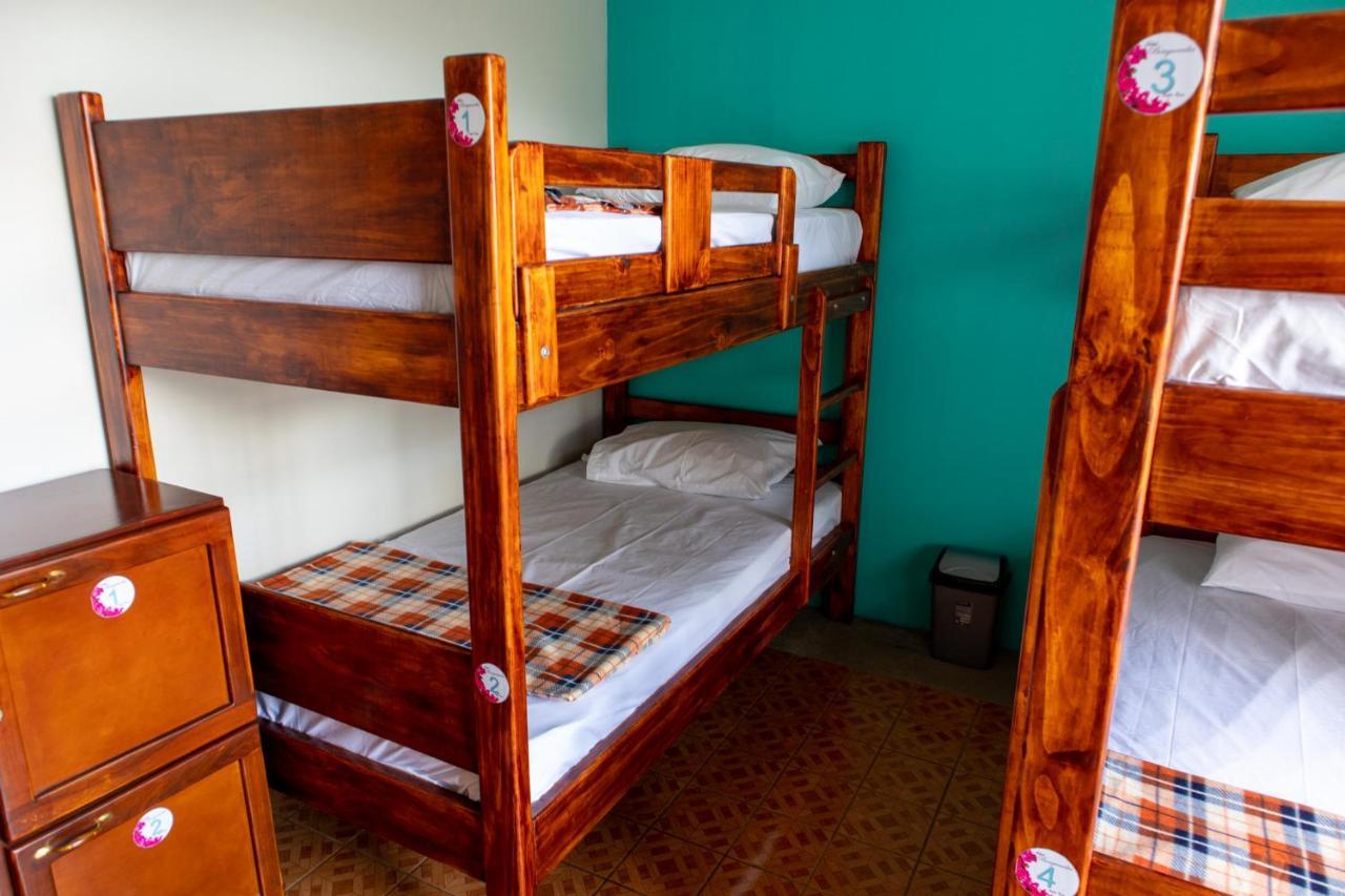 Hostel Bouganvilia Bed And Breakfast San Ramón Eksteriør billede